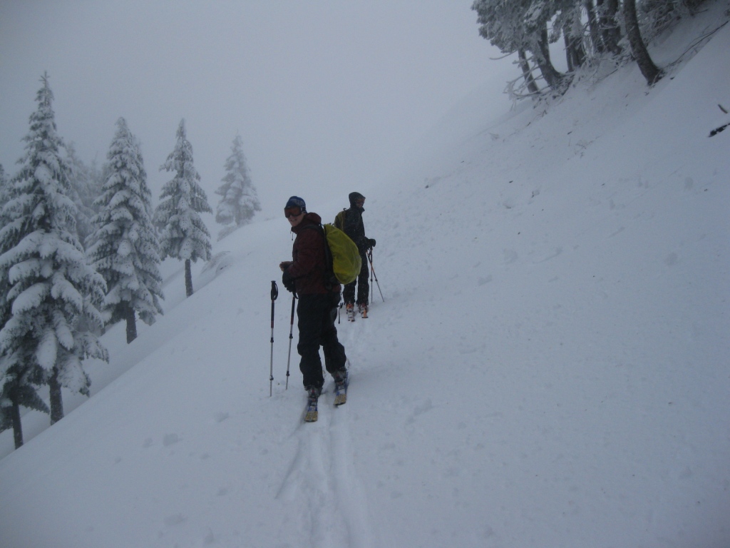 Skinning up Mary's Peak in Oregon, Gabe and Aaron visible