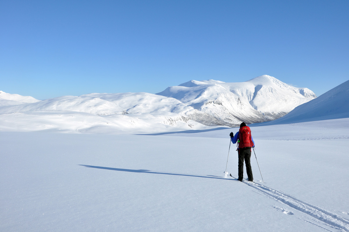Cross-country Ski Expedition in Swedish Lapland