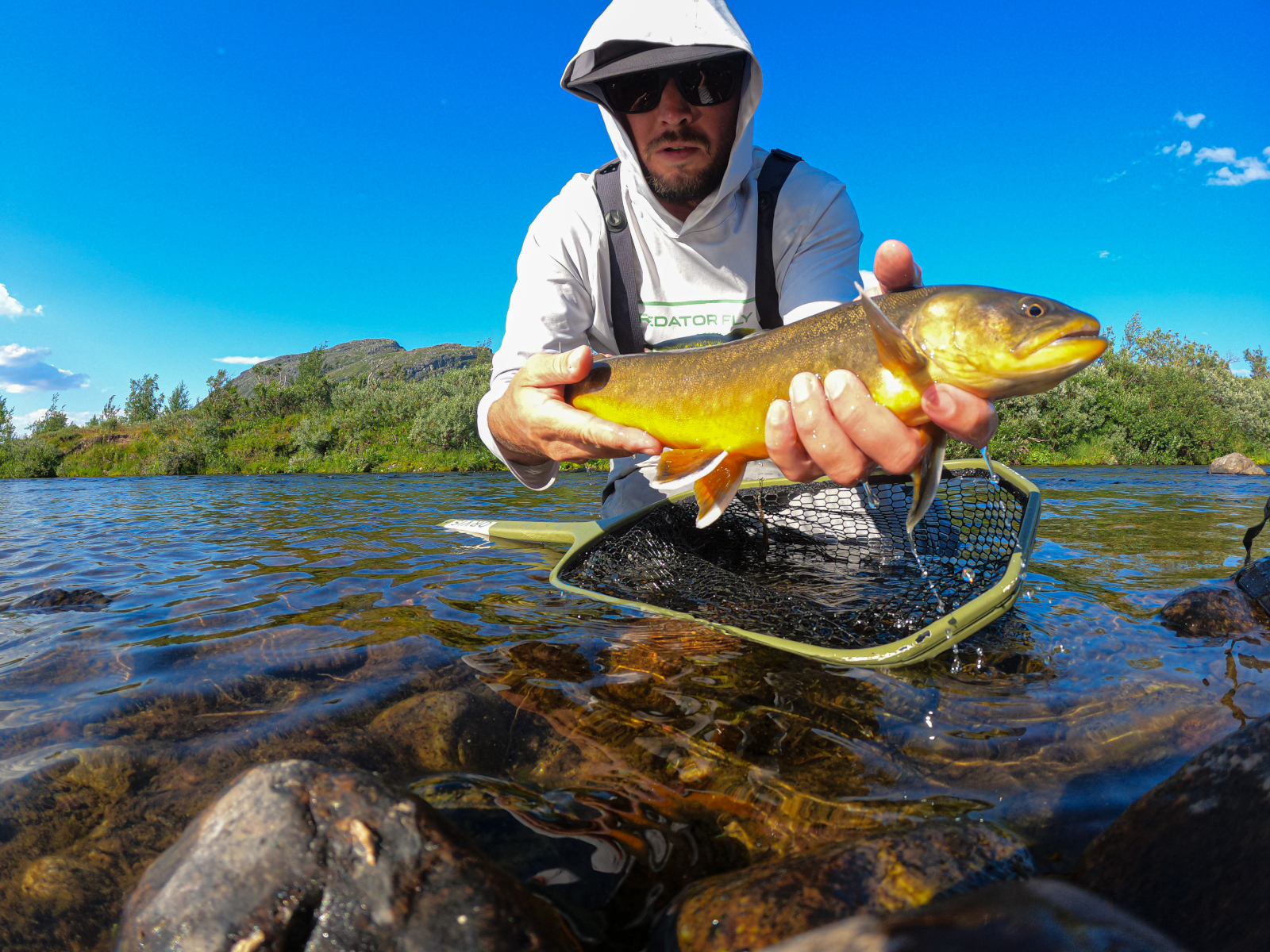 Fly Fishing under the Midnight Sun in Swedish Lapland (2026)